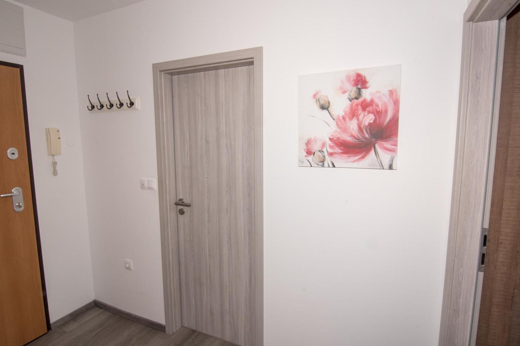 Apartmaji Aida Moravske Toplice Esterno foto